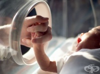 �������� - ������������ ������, ����� ������ �������������� �� ������